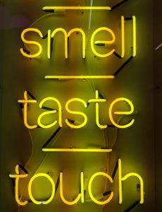smell taste touch neon sign