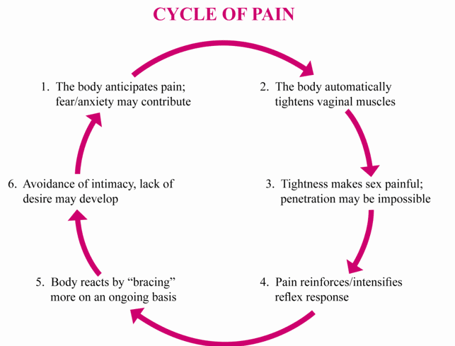 Vaginismus Cycle of Pain chart